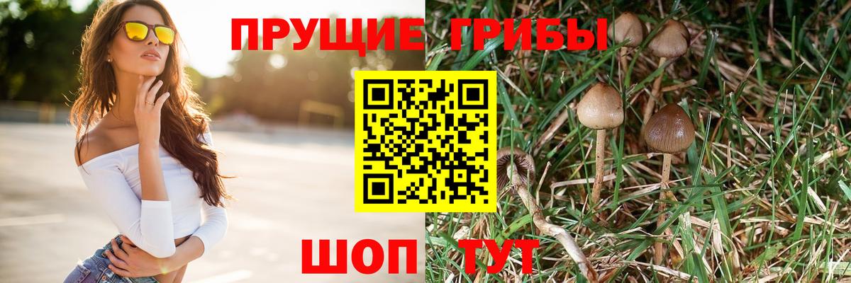 Галлюциногенные грибы Magic Shrooms  Псилоцибиновые грибы Psilocybe  Сочи  Вход с VPN 
